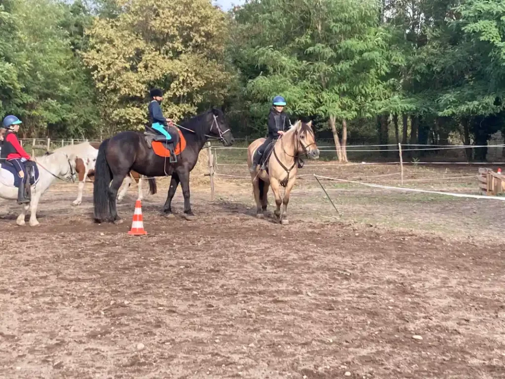 Equizarra Poney Club A Castres Gironde Realisation 26