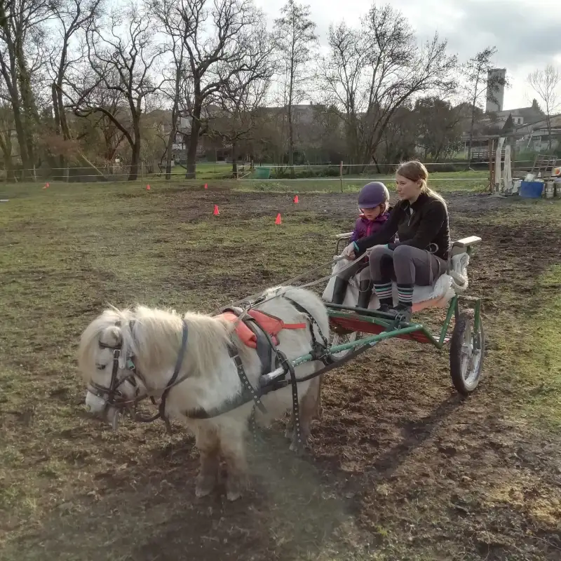 Equizarra Poney Club A Castres Gironde Actualites 1