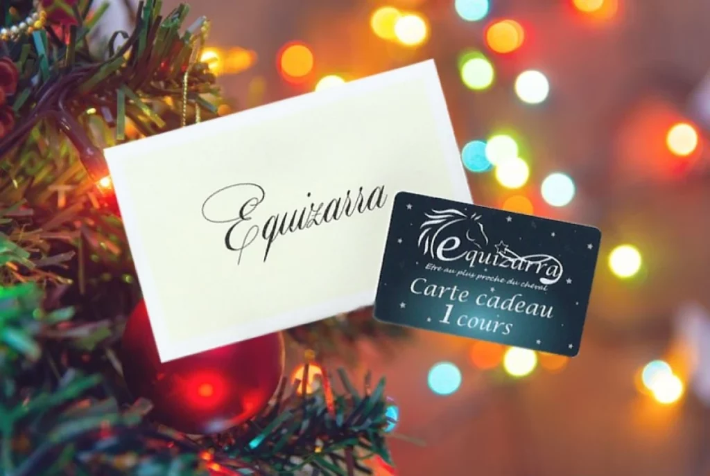 Equizarra Poney Club A Castres Gironde Actualites 12