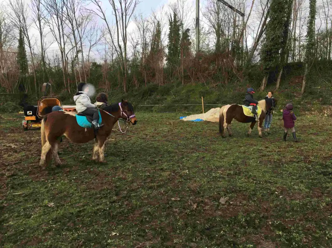 Equizarra Poney Club A Castres Gironde Actualites 16 Equizarra Poney Club A Castres Gironde Actualites 16