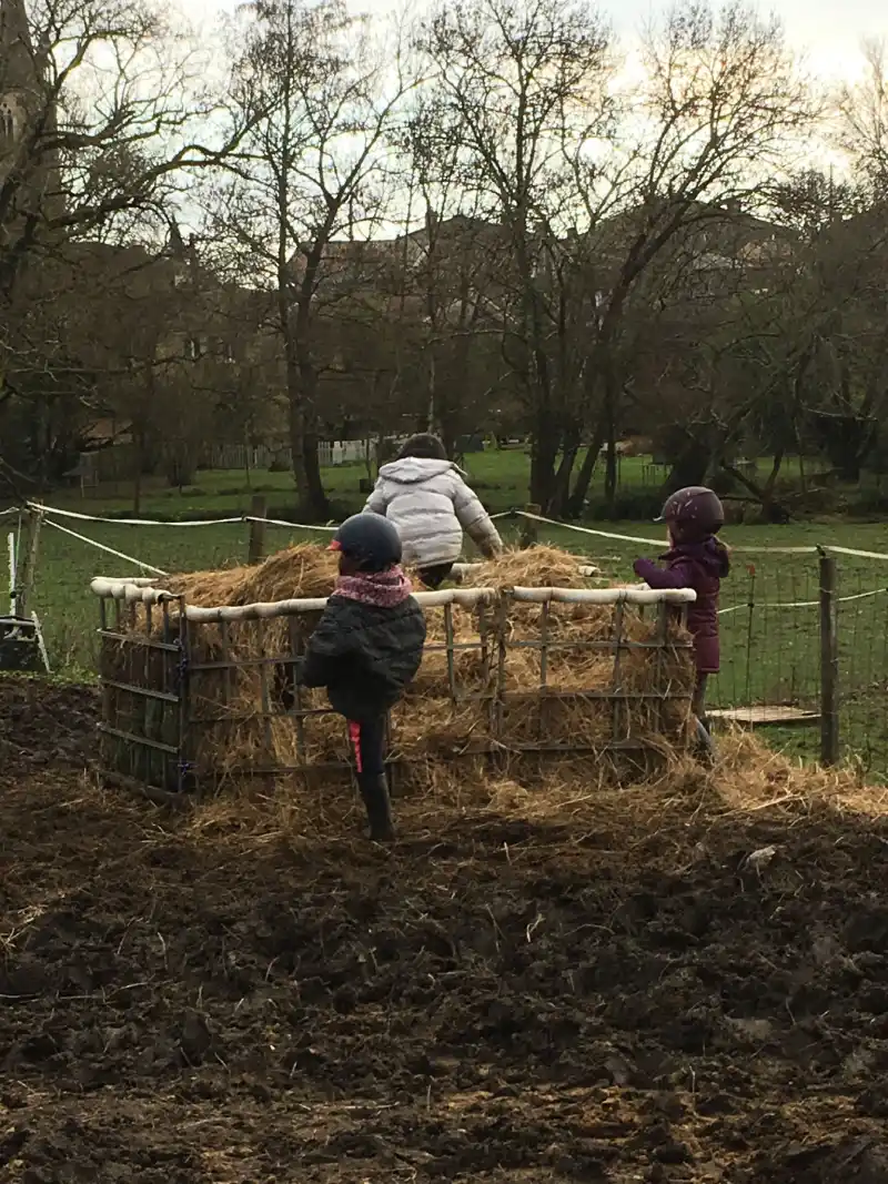 Equizarra Poney Club A Castres Gironde Actualites 17 Equizarra Poney Club A Castres Gironde Actualites 17
