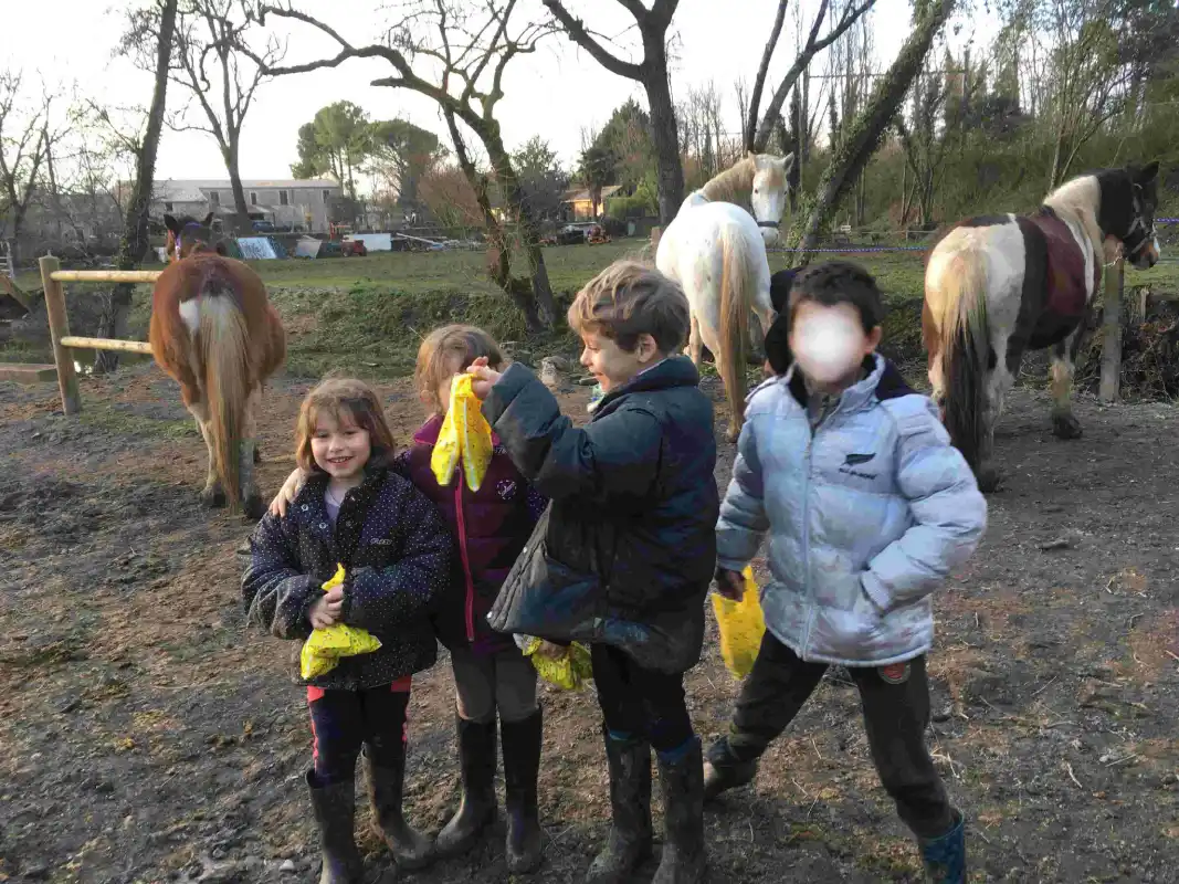 Equizarra Poney Club A Castres Gironde Actualites 20 Equizarra Poney Club A Castres Gironde Actualites 20