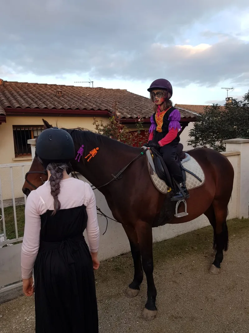 Equizarra Poney Club A Castres Gironde Actualites 22 Equizarra Poney Club A Castres Gironde Actualites 22