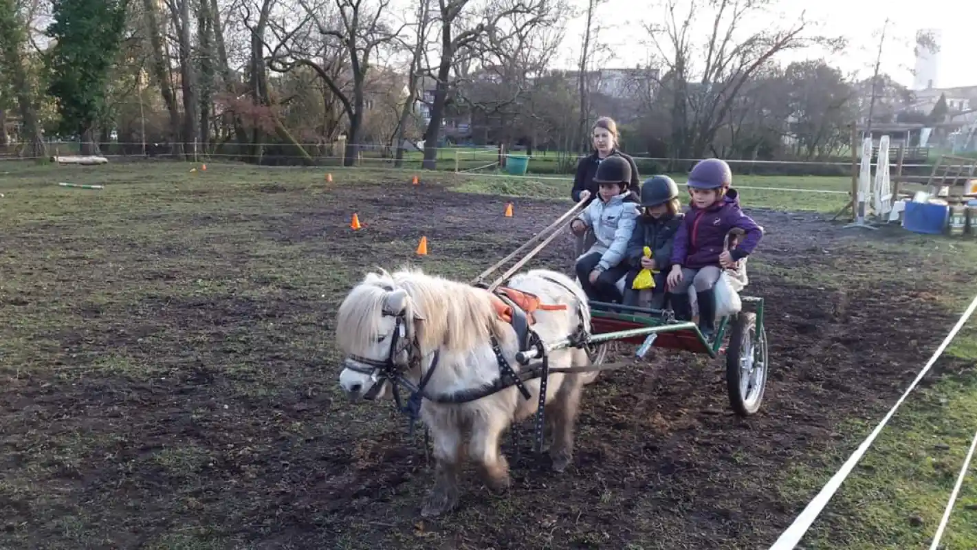 Equizarra Poney Club A Castres Gironde Actualites 3 Equizarra Poney Club A Castres Gironde Actualites 3