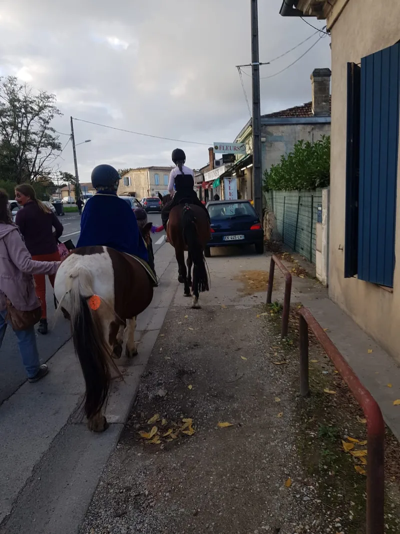 Equizarra Poney Club A Castres Gironde Actualites 5 Equizarra Poney Club A Castres Gironde Actualites 5