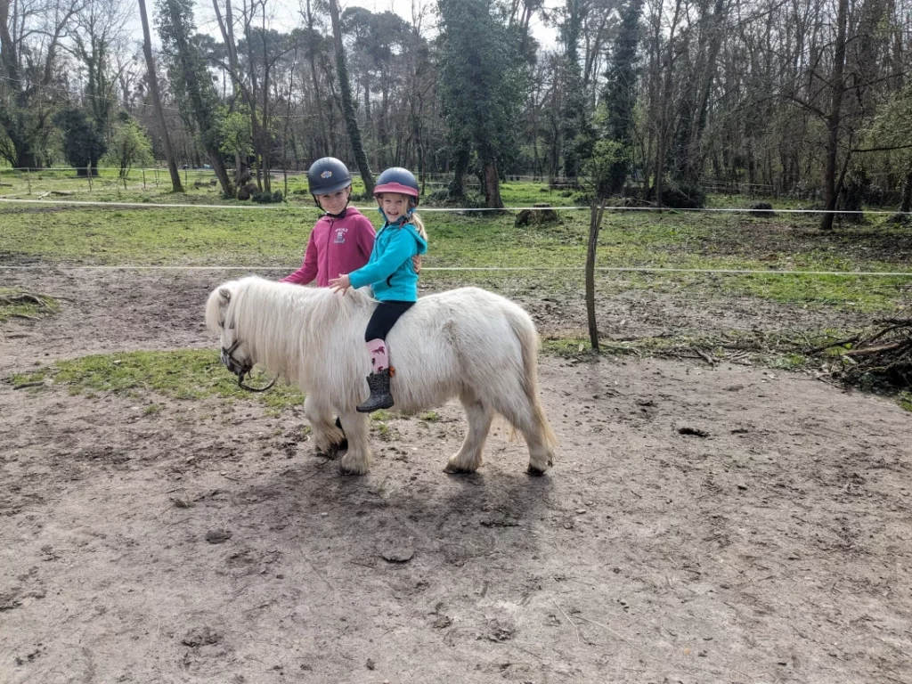 Equizarra Poney Club A Castres Gironde Enseignement 03 1