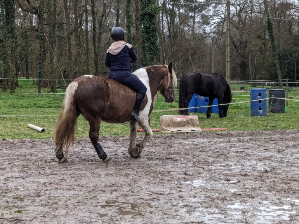 Equizarra Poney Club A Castres Gironde Enseignement 05 1