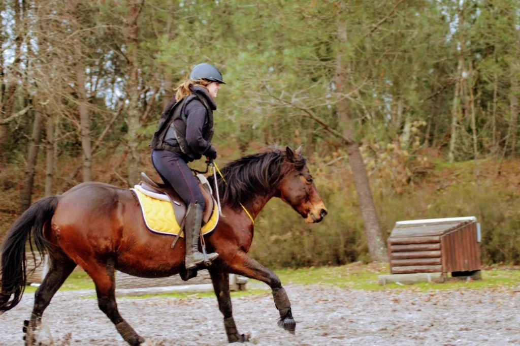 Equizarra Poney Club A Castres Gironde Enseignement 06 1
