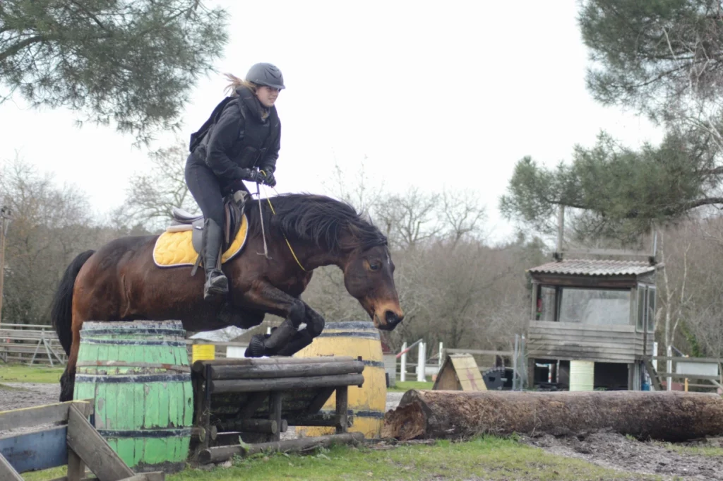 Equizarra Poney Club A Castres Gironde Enseignement 07 1
