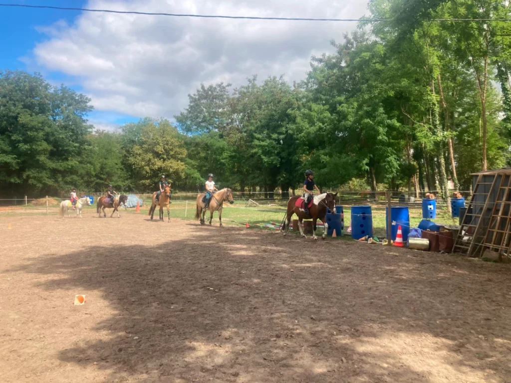 Equizarra Poney Club A Castres Gironde Enseignement 07 2