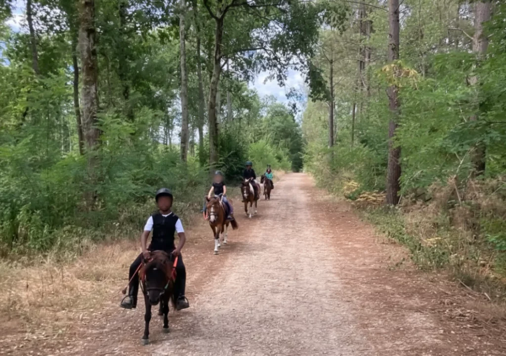Equizarra Poney Club A Castres Gironde Gemini Generated Image Eo7nwveo7nwveo7n 1